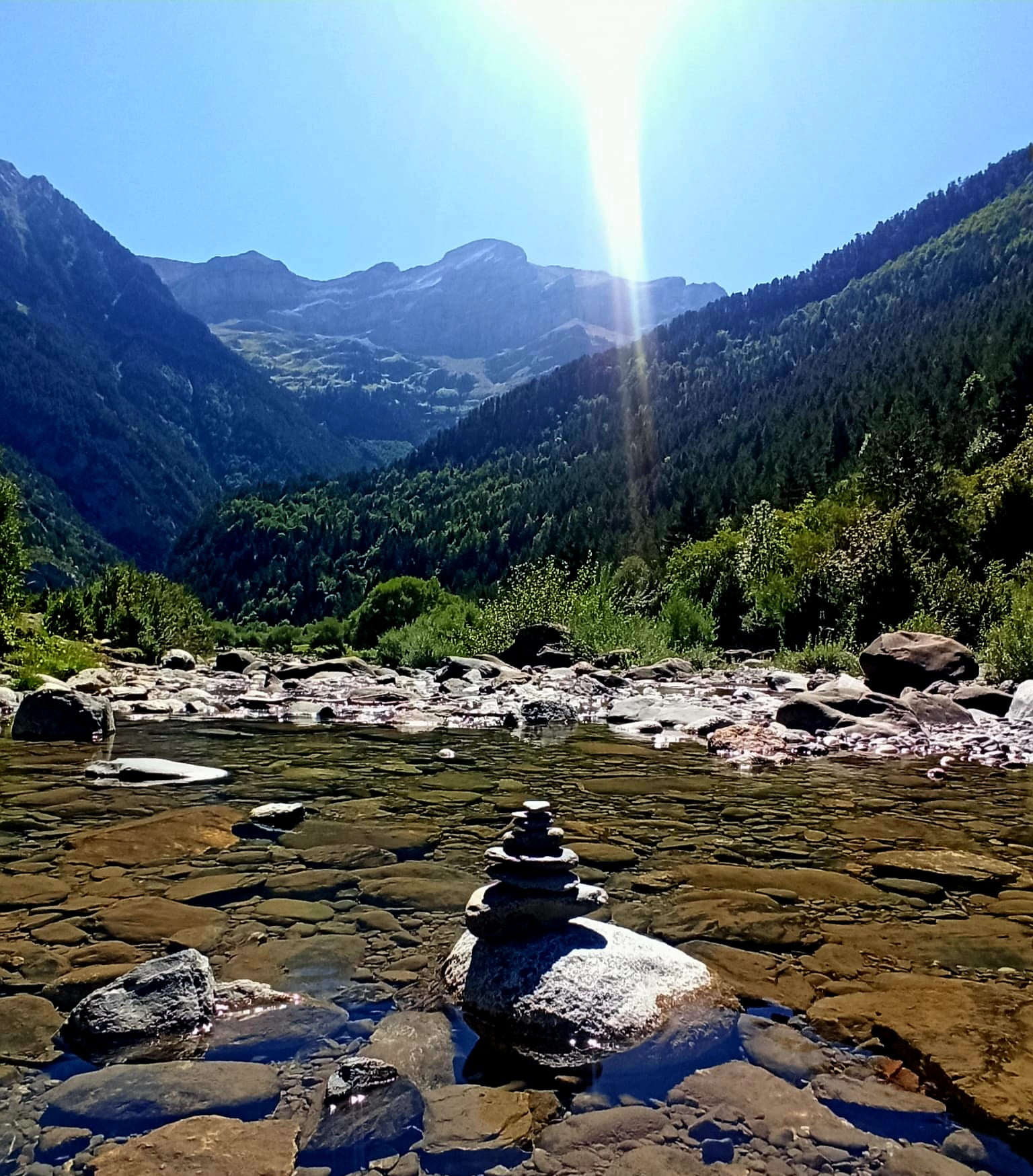 IMG-20220821-WA0017